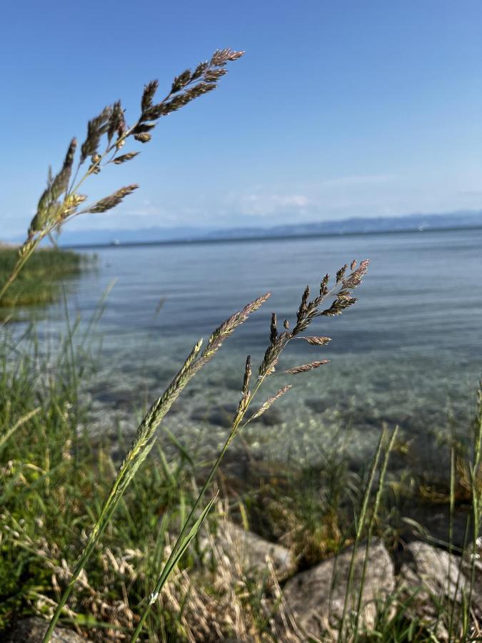 Kling Am See FDH Kültér fotó