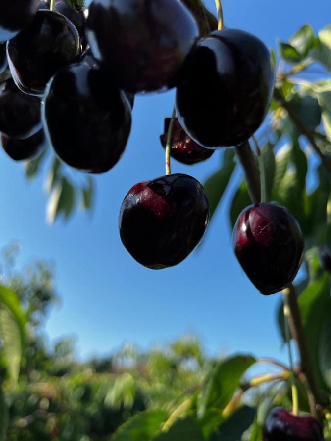 Kling Am See FDH Kültér fotó